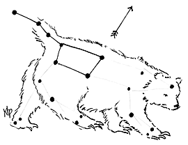Bear Constellation